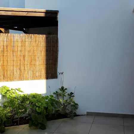 Casa De Els Arbocers Ferienhaus *